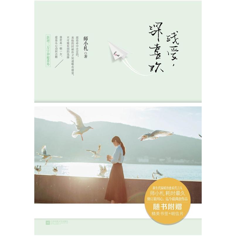 二手浅爱,深喜欢 师小札 江苏文艺出版社