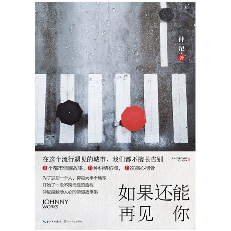 二手如果还能再见你 仲尼 长江文艺出版社