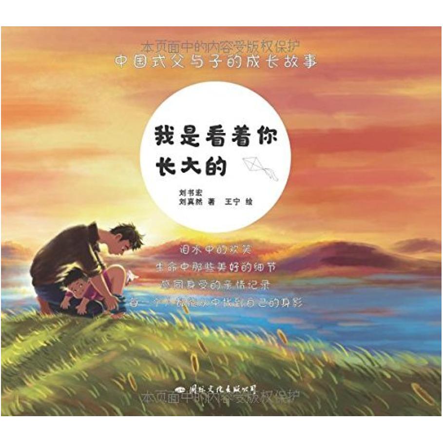 二手我是看着你长大的 刘书宏 国际文化出版公司