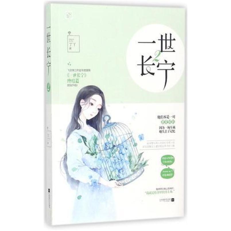 二手一世长宁 丁丫 江苏文艺出版社