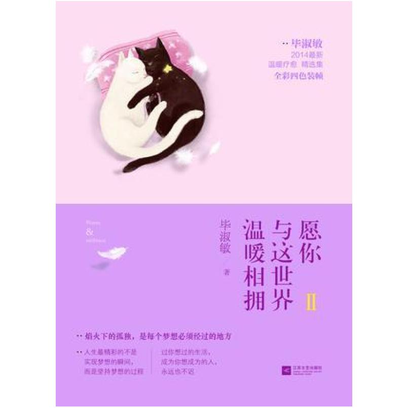二手愿你与这世界温暖相拥2 毕淑敏 江苏文艺出版社