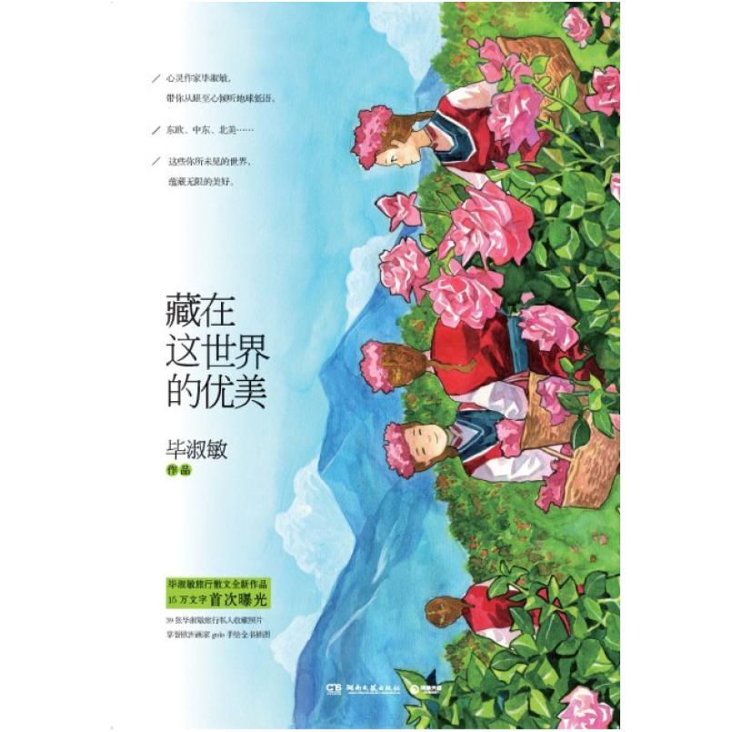 二手藏在这世界的优美 毕淑敏 湖南文艺出版社