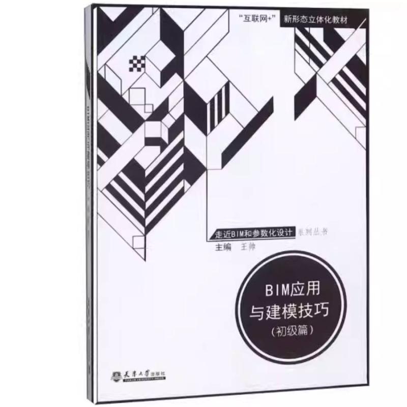 二手BIM应用与建模技巧(初级篇) 王帅 天津大学出版社