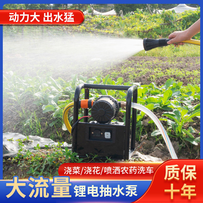 抽水泵抽水机浇菜神器浇水机