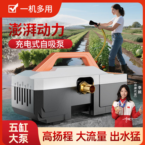 6分水管24V充电抽水泵浇菜神器浇水农用浇地灌溉家用抽水机淋菜园