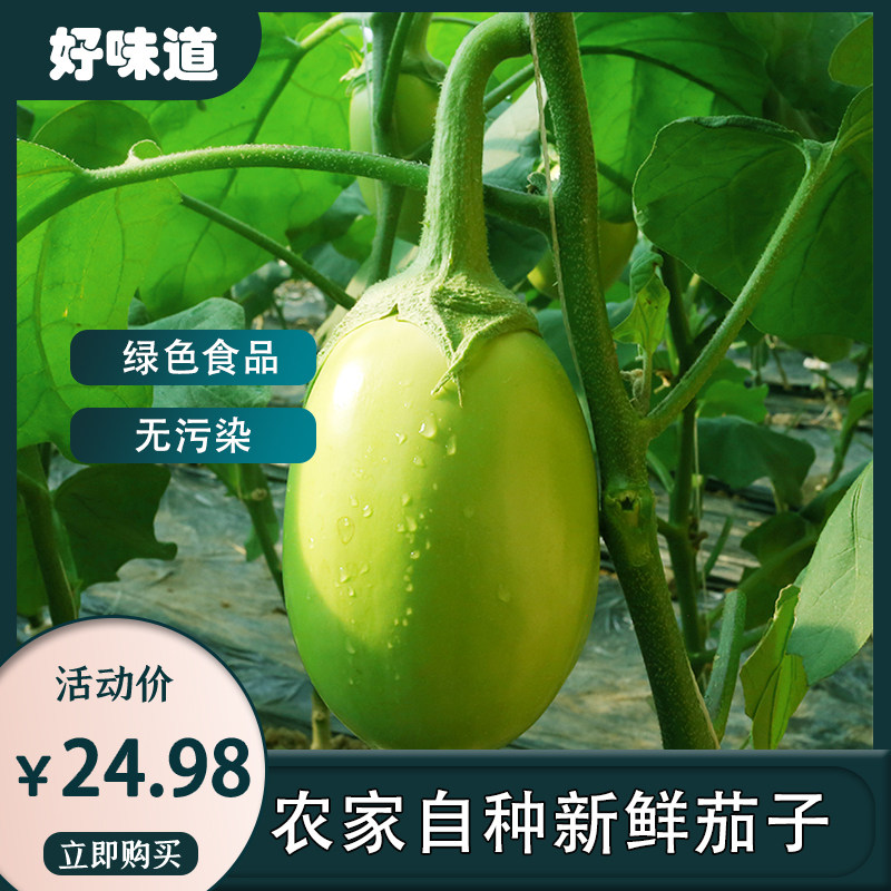 青茄子新鲜蔬菜包邮绿皮茄子 湖北青皮茄子 圆茄子 非紫茄子,水产肉类/新鲜蔬果/熟食,茄子,淘宝优惠券,粉丝福利购,淘宝优惠卷