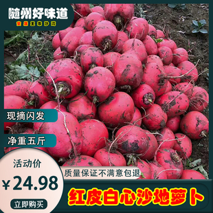 随州安居沙地红皮萝卜农家自种红萝卜白心小红罗卜泡菜蔬菜包邮