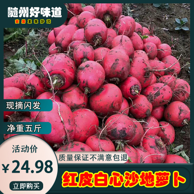 随州安居沙地红皮萝卜农家自种红萝卜白心小红罗卜泡菜蔬菜包邮