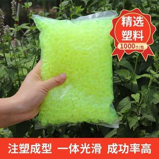 育王工具育王台基王台基人工塑料意蜂专用王台约1000个养蜂专用