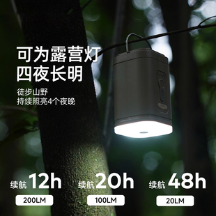 徽羚羊充气泵电动户外风泵露营气垫床游泳圈充气真空抽充气打气筒