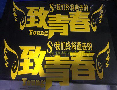 致青春文字防水贴花