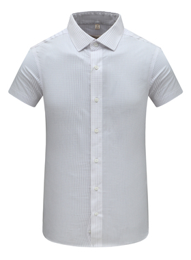 MY271美尔男夏季短袖衬衫 棉休闲商务上衣 紫色白格 时尚都市