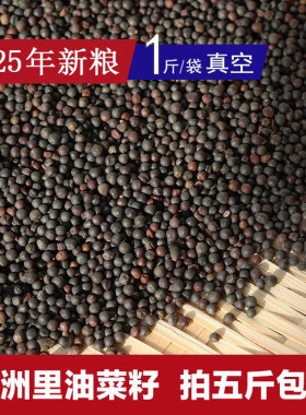 油菜籽鹦鹉玉鸟金丝雀饲料五斤