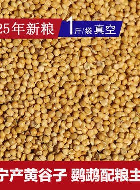 东北A级黄谷子粟谷带壳小米25年新粮鹦鹉玄凤牡丹虎皮饲料鸟粮1斤