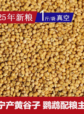 东北黄谷子带壳25年鹦鹉牡丹玄凤