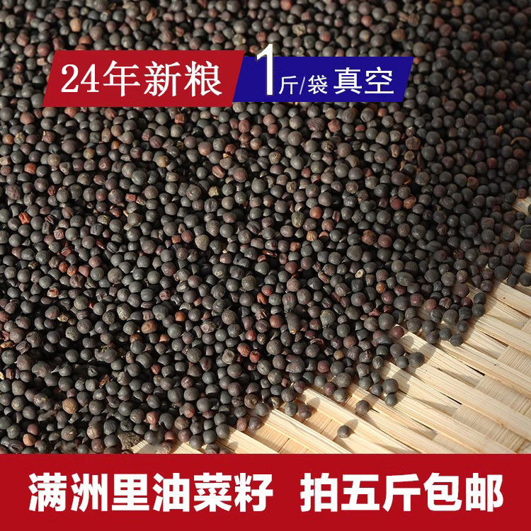 油菜籽鹦鹉玉鸟金丝雀饲料五斤