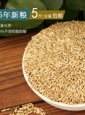 进口加纳利子白尖粟鹦鹉鸟粮饲料
