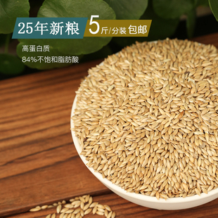 包邮 5斤 白尖粟鹦鹉鸟粮饲料玄凤牡丹鸟食 进口加纳利子2025新粮