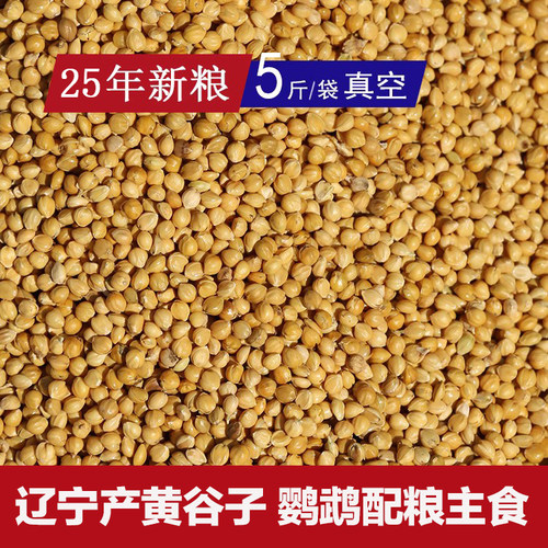 辽宁黄谷子带壳25年鹦鹉玄凤玉鸟