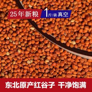 辽宁新红谷子粟谷带壳谷子25年新粮玄凤牡丹虎皮鹦鹉饲料鸟粮500g
