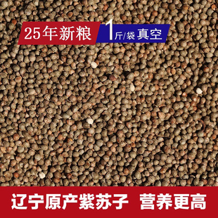 东北2025年产紫苏子新粮 鹦鹉玉鸟文鸟丝雀芙蓉鸟粮油性饲料500克