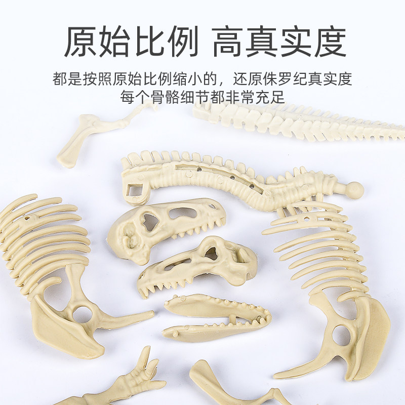 CHILDREN DINOSAUR FOSSIL TYRANNOSAURUS REX STEGOSAURUS SKELETON MODEL HANDMADE DIY MADE DIGGING BOY ARCHAEOLOGICAL EXCAVATION TOY