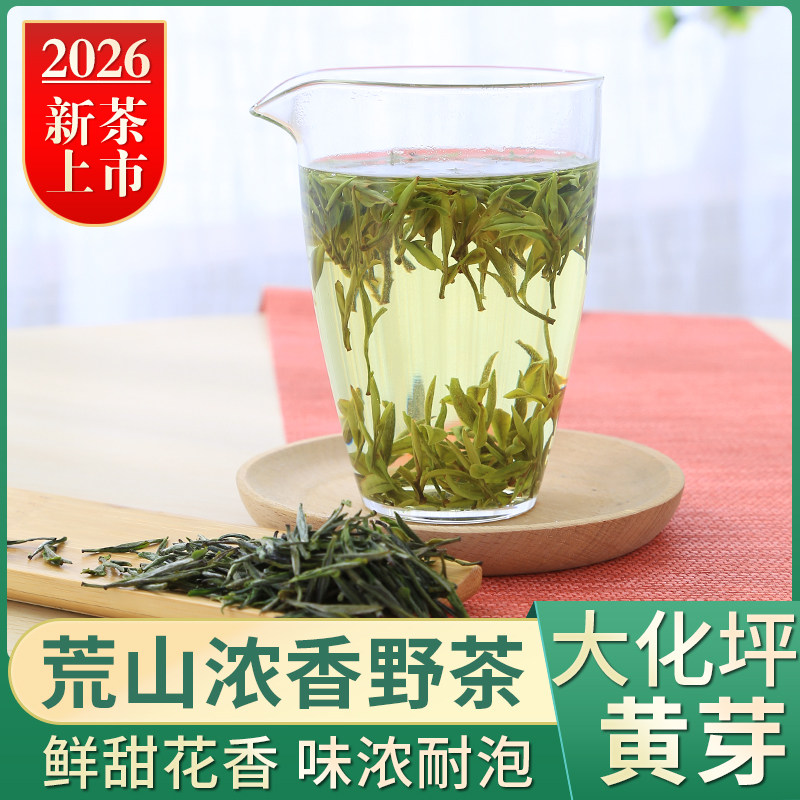 【2026年新茶】A5荒山野茶大化坪黄芽罐装茗赐缘霍山黄芽安徽黄茶