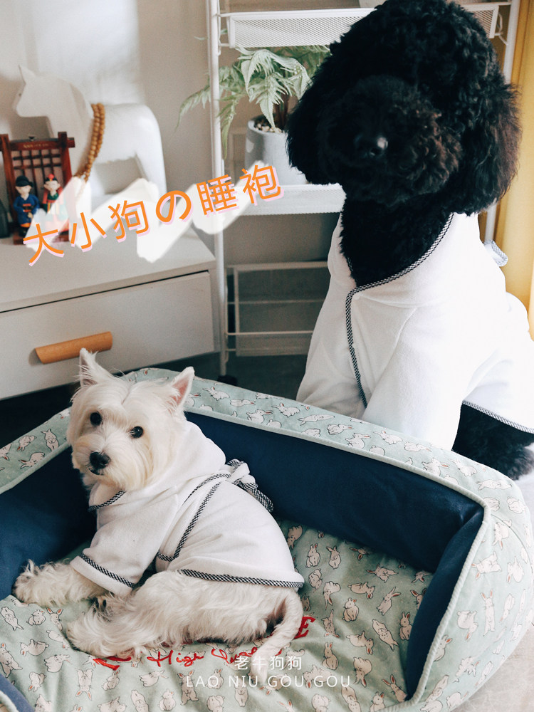 宠物速干吸水毛巾狗狗泰迪洗澡浴巾长毛大型狗通用纤维吸水用品