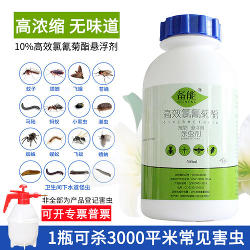 蟑螂下水道蚊子药杀虫剂
