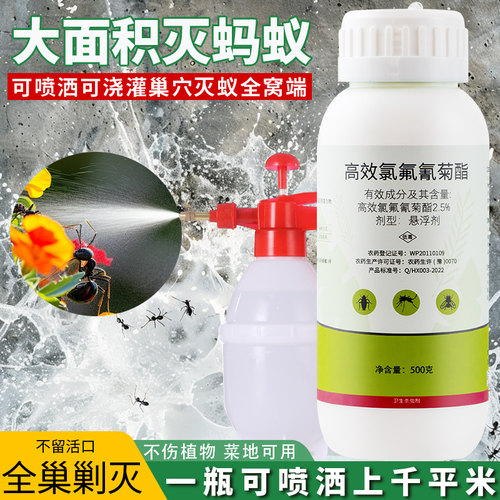 专杀各类蚂蚁室内外适用