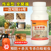 全窝端白蚁杀虫剂药水家用户外白蚁防治装 修预防专用药联苯菊酯