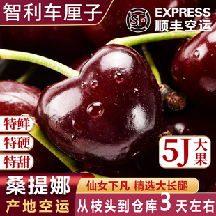 5j智利车厘子进口科迪亚新鲜水果大黑樱桃桑礼盒提娜原箱4j空运6j