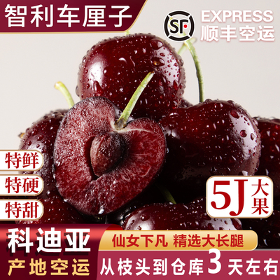 5j智利车厘子进口科迪亚新鲜水果大黑樱瑞吉桃礼盒娜原箱4j空运6j