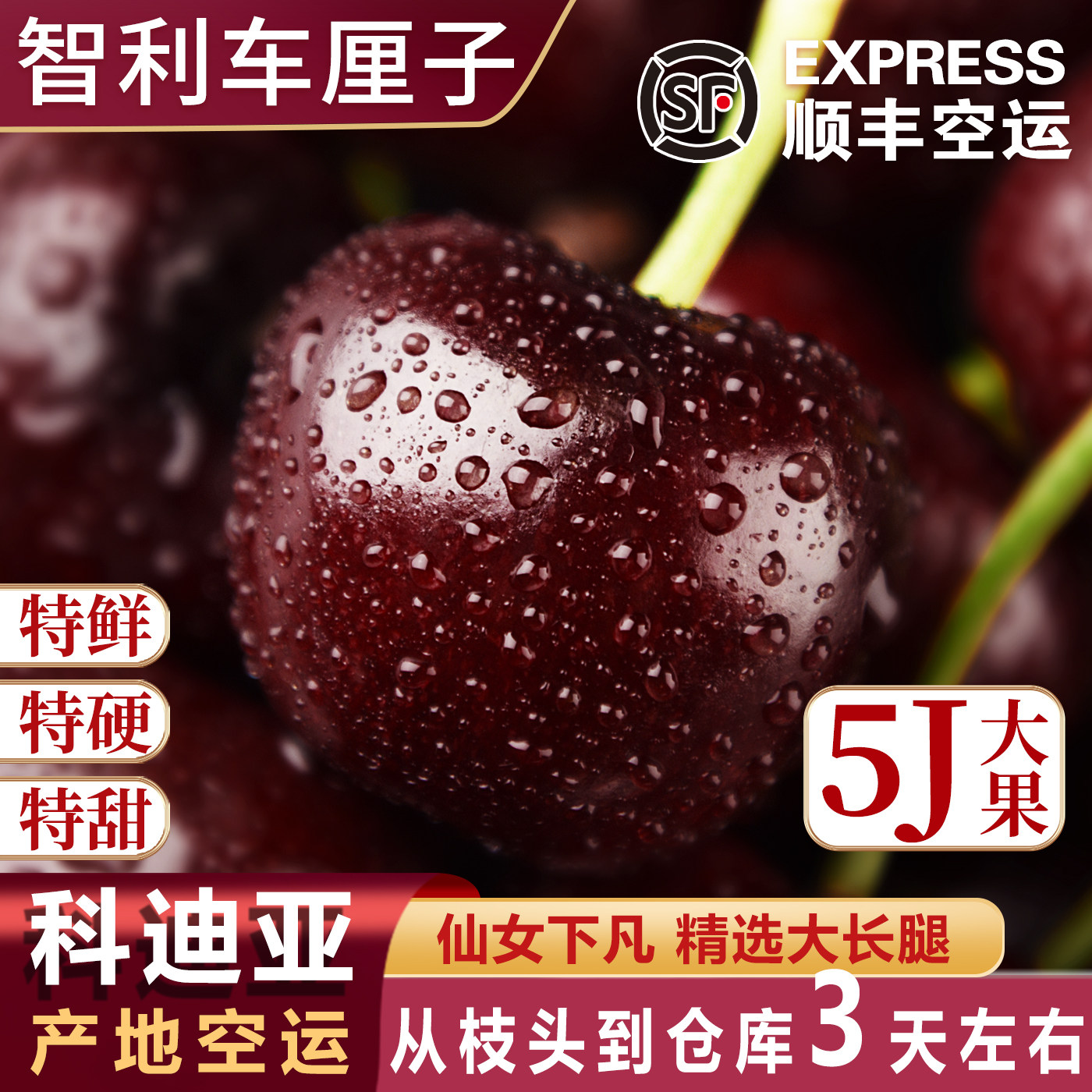 智利进口车厘子大5j原箱5斤桑提娜新鲜当季水果4jjjj樱桃空运包邮,水产肉类/新鲜蔬果/熟食,车厘子/樱桃,淘宝优惠券,粉丝福利购,淘宝优惠卷
