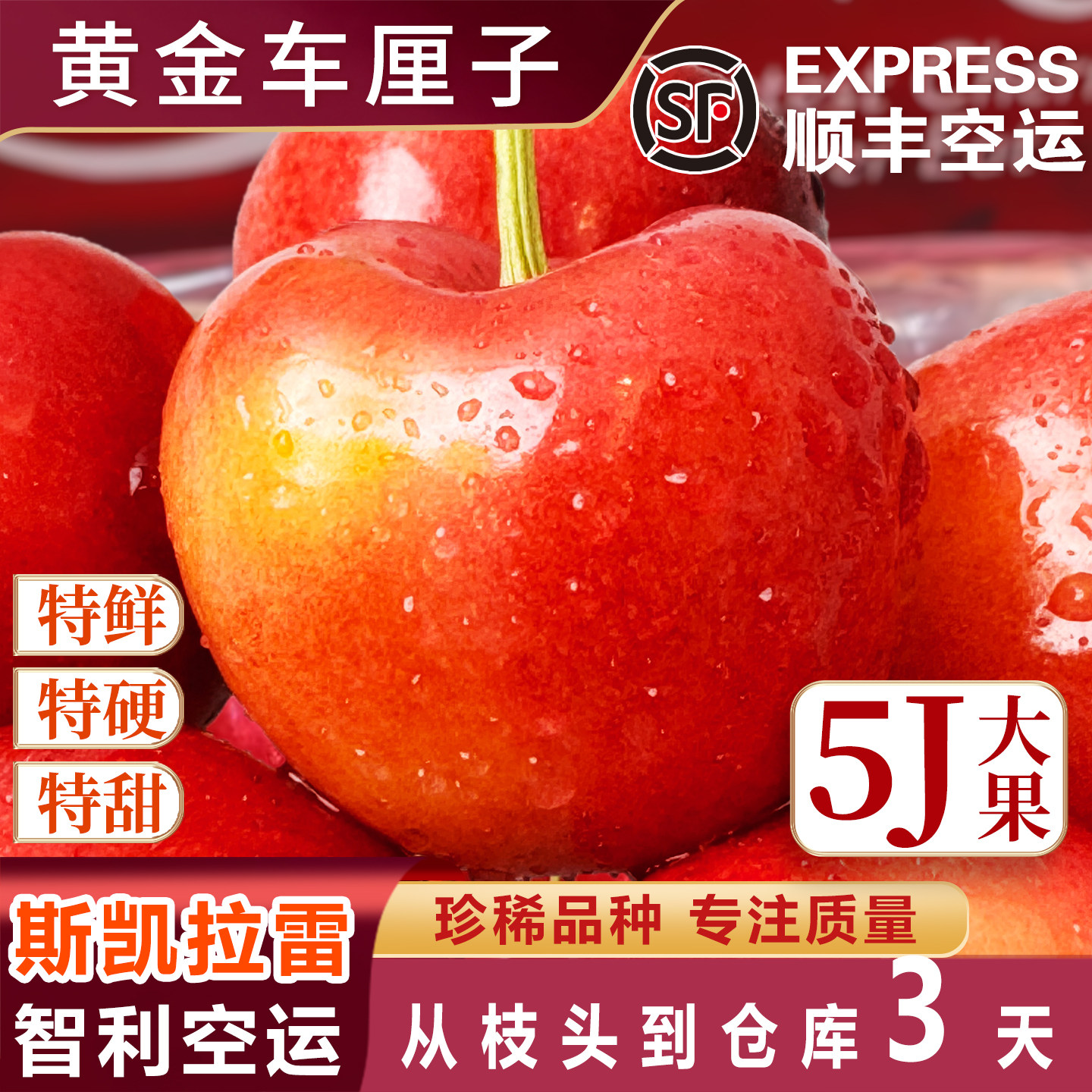 4j智利斯凯拉雷黄金车厘子Skylar Rae礼盒新鲜樱桃孕妇5j天空之城