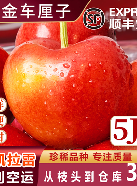 4j智利斯凯拉雷黄金车厘子Skylar Rae礼盒新鲜樱桃孕妇5j天空之城