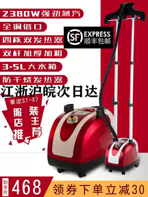 Puyi X7 double pole steam hanging ironing machine 2380 high power ironing clothing store commercial vertical all copper interface electric ironing