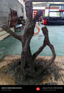 爬宠缸 造景 斑帆缸 水泥塑形 无边框雨林缸 定制 大型雨林缸定制