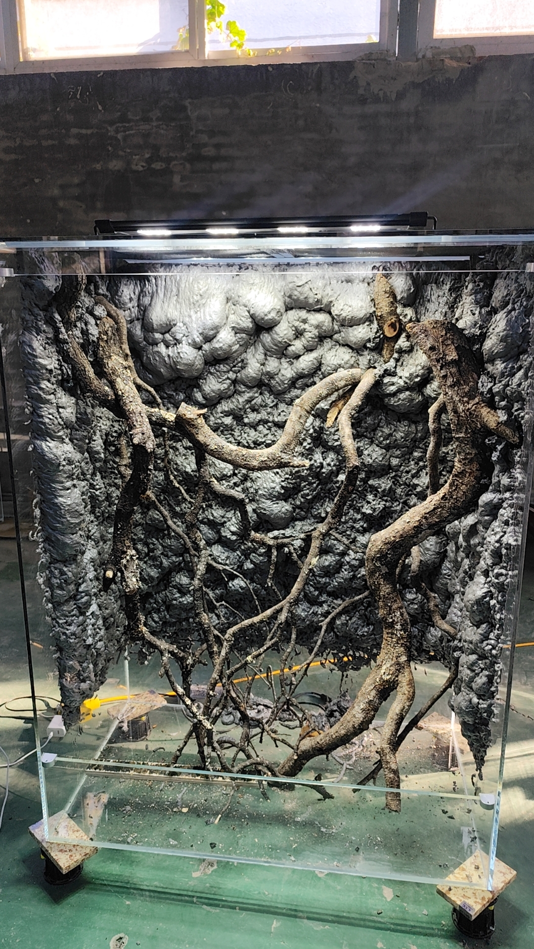 差价专拍  看清楚