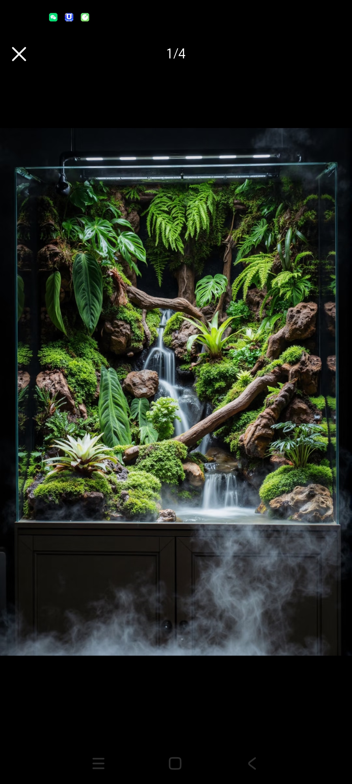 差价专拍 直接拍不发货