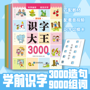 基础篇 全4册 提升篇 超越篇 进阶篇 识字大王3000字