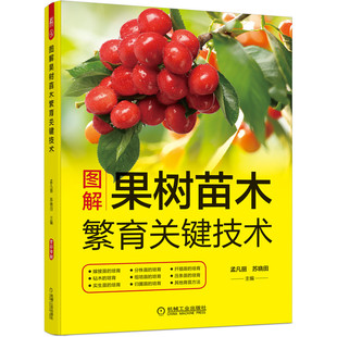 正版包邮 图解果树苗木繁育关键技术 嫁接苗 砧木 实生苗 分株苗 归圃苗 苹果 梨 山楂 樱桃 葡萄 草莓 榛子 蓝莓 机械工业出版社