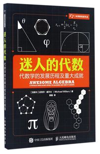 发展历程及重大成就 迷人 代数学 代数 科学新悦读文丛