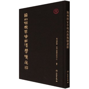 荆州胡家草场西汉简牍选粹 精