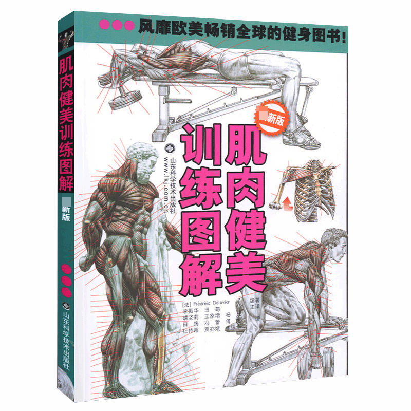 肌肉健美训练图解 全新版 德拉威尔著 男性身材肌肉训练型男健美图详解 男士减肥塑身书籍书塑造健身全书籍