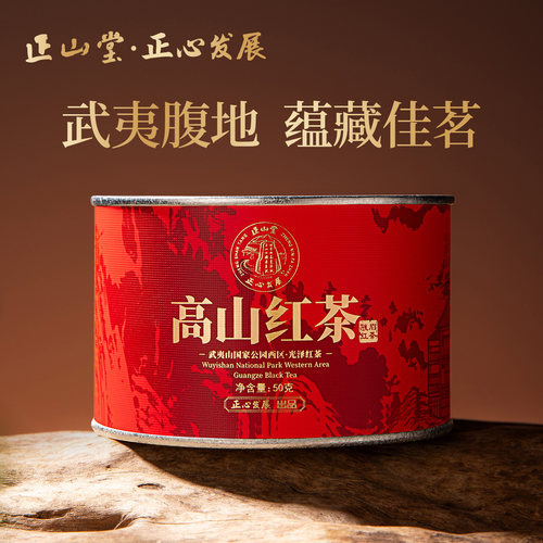 正山堂骏眉中国正心发展高山红茶