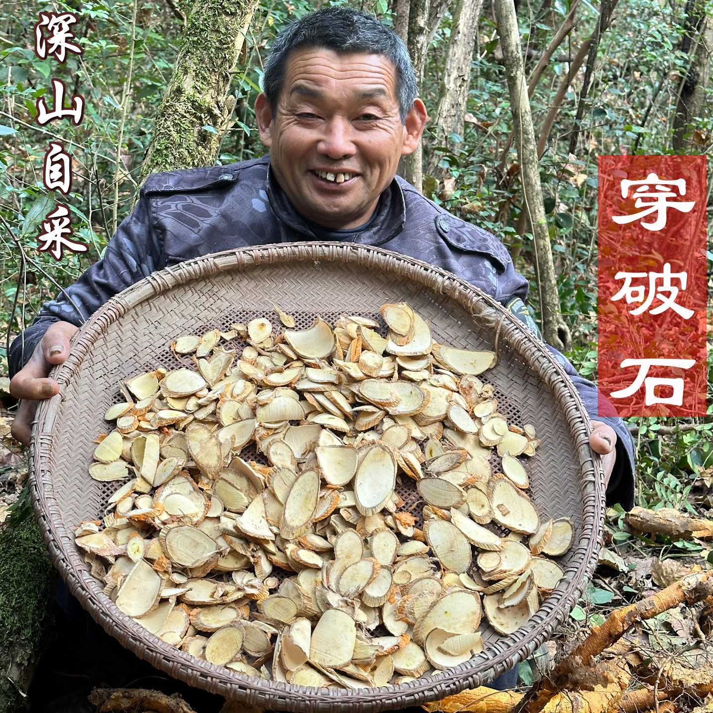 深山自采穿破石 构棘根 小柘树根 九层皮 山荔枝 干片500克