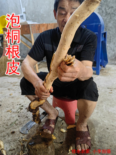 中药材泡桐树根皮 别名:空桐木根皮 白桐根皮 水桐根皮 干货250克