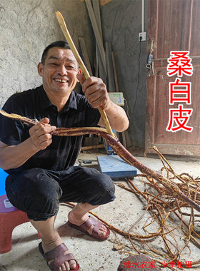 江西农家山货野生中药材桑白皮