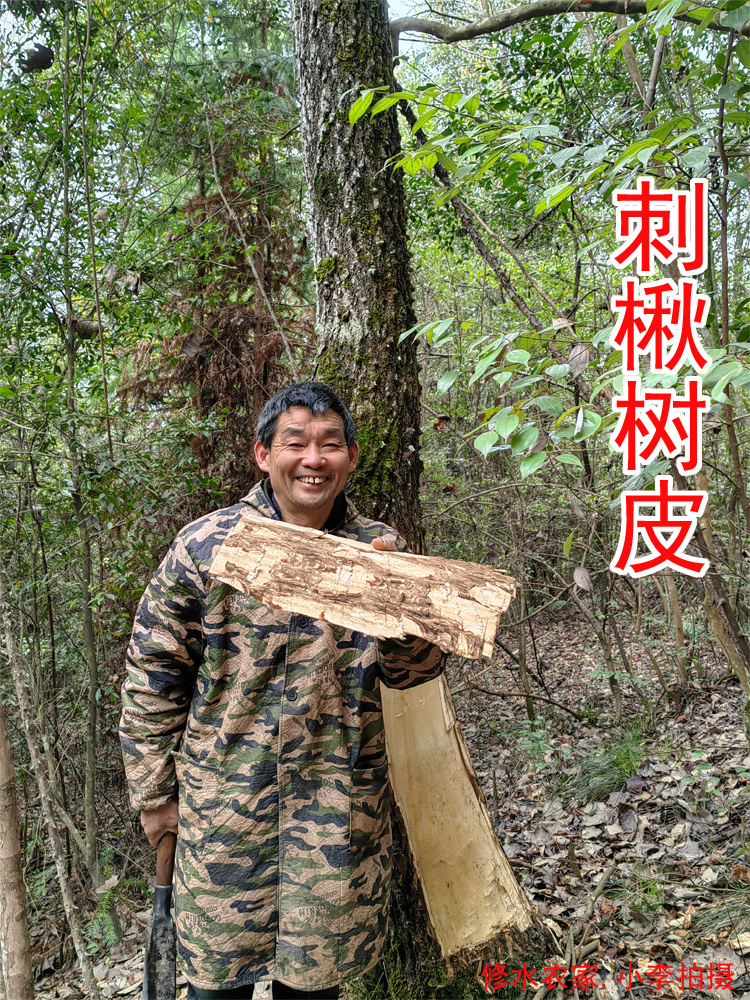 刺楸树皮 别名：丁桐皮 钉皮 狼牙棒 海桐皮 干品 250克